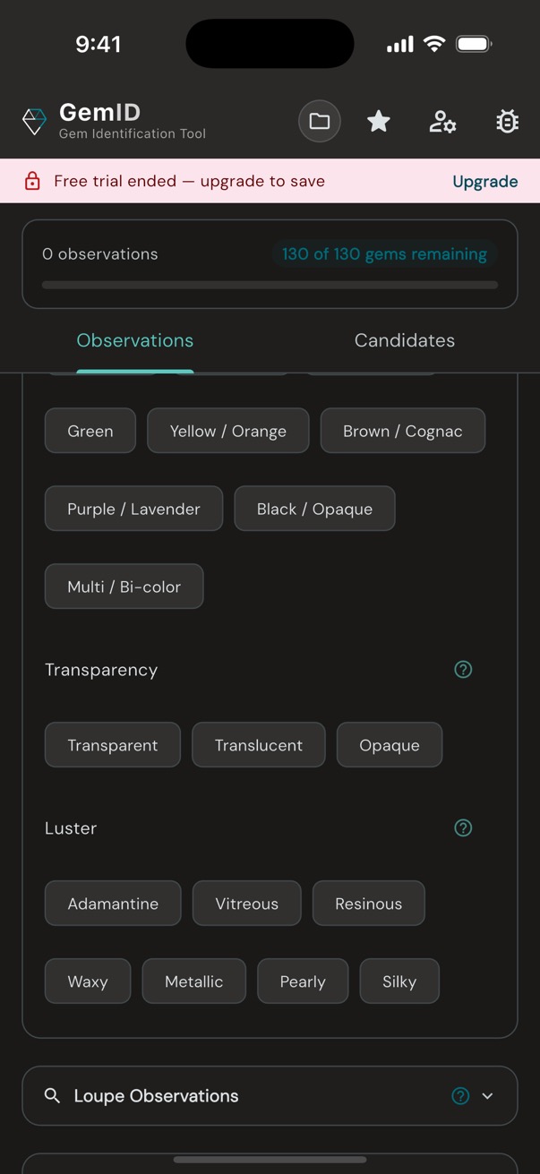 Loupewise observation chips showing color categories, transparency, and luster options