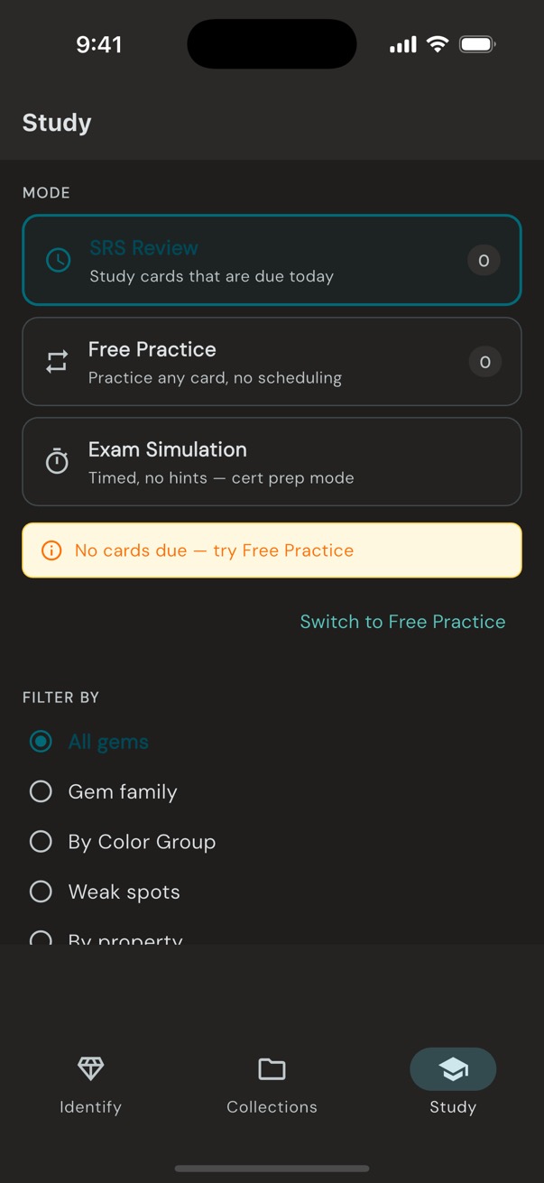 Loupewise study mode selection showing SRS Review, Free Practice, and Exam Simulation