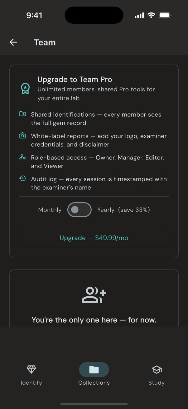 Loupewise Team Pro screen showing shared sessions, branded reports, role-based access, and audit log