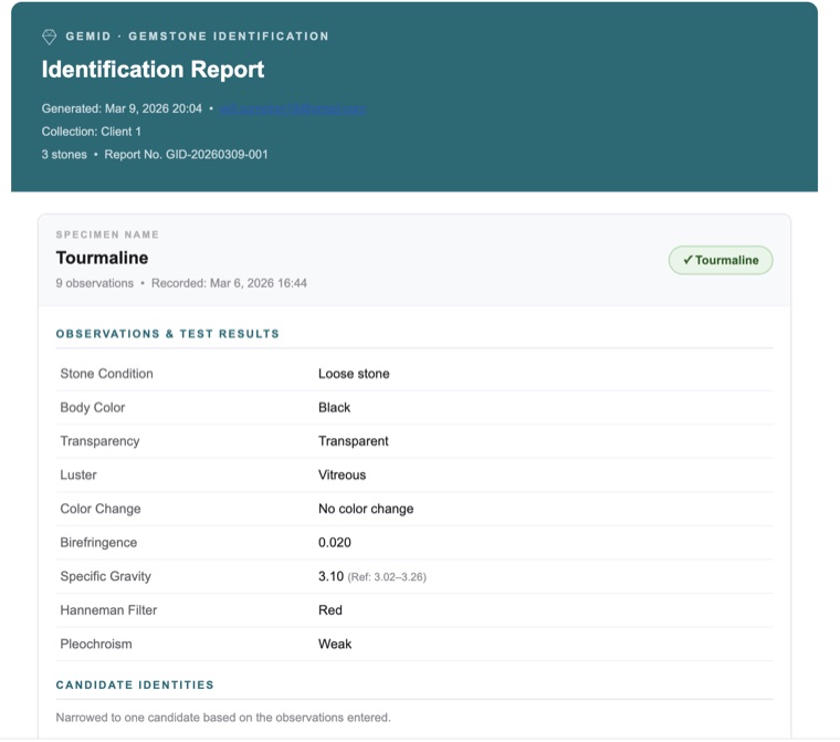Loupewise Identification Report — professional export